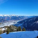 Herzog *